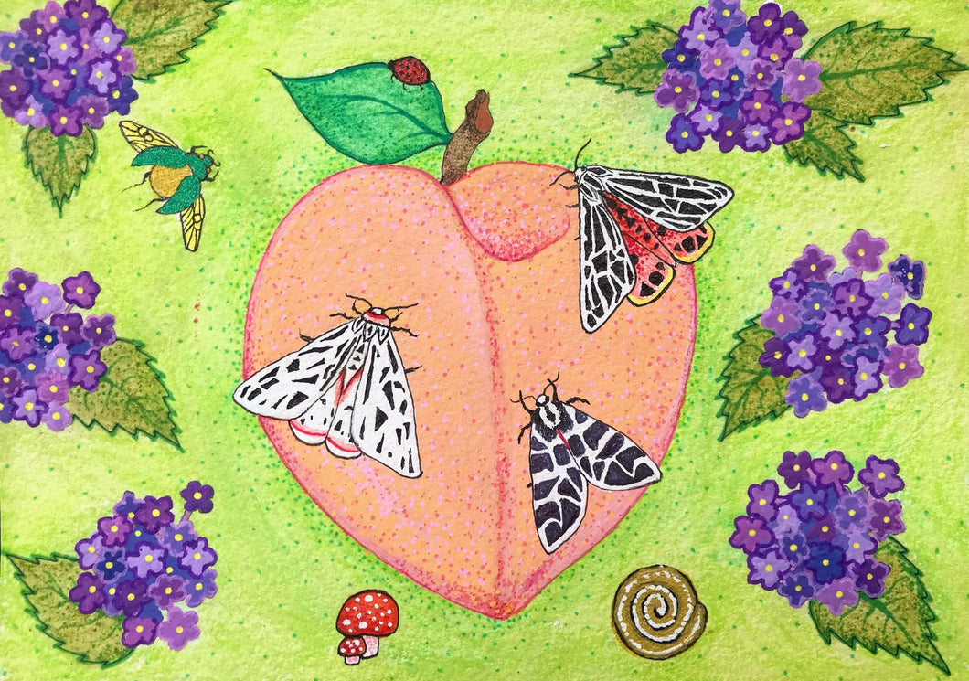 Moths and Peach