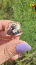 Load and play video in Gallery viewer, Real frog beetle terrarium statement ring
