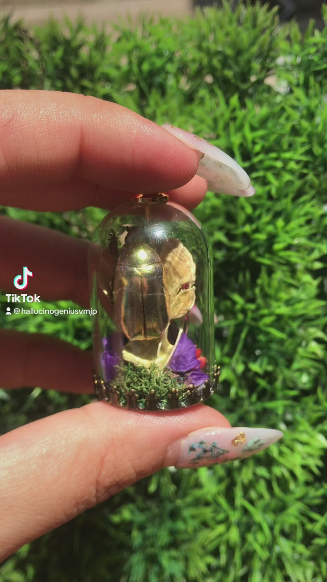 Real gold scarab beetle jewel leaf chafer terrarium necklace