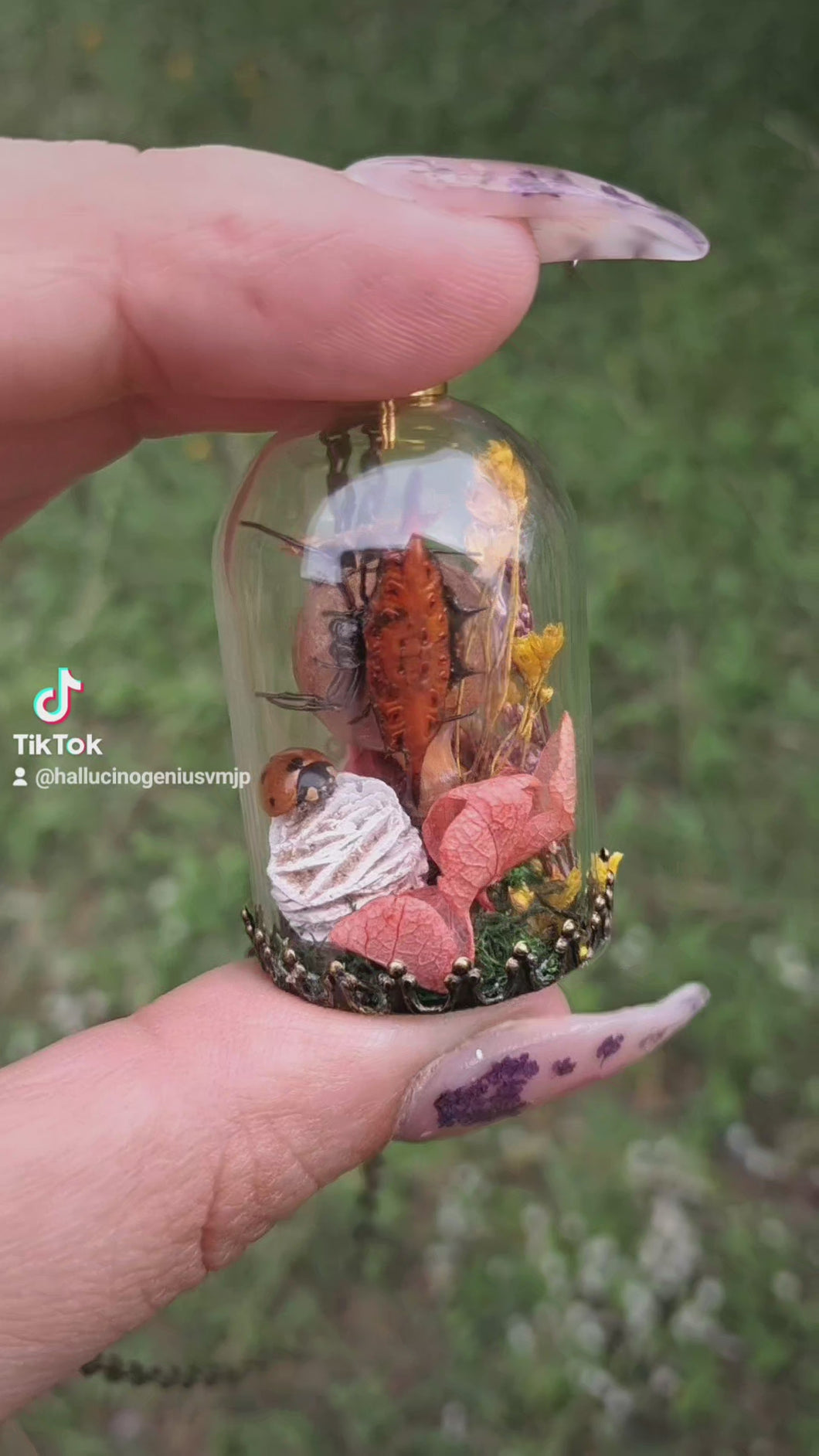 Real orb weaver spider and ladybug terrarium necklace