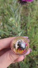 Load and play video in Gallery viewer, Real flower beetle terrarium statement ring
