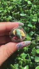 Cargar y reproducir el video en el visor de la galería, Real Gold Dust Weevil Terrarium statement ring
