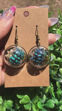 Load and play video in Gallery viewer, Real blue weevil terrarium earrings
