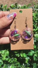 Load and play video in Gallery viewer, Real Gold Dust weevil terrarium earrings
