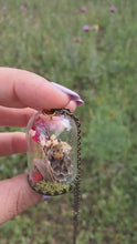 Cargar y reproducir el video en el visor de la galería, Real ladybug and bee terrarium necklace
