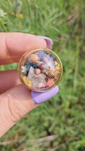 Load and play video in Gallery viewer, Real bee and ladybug terrarium statement ring
