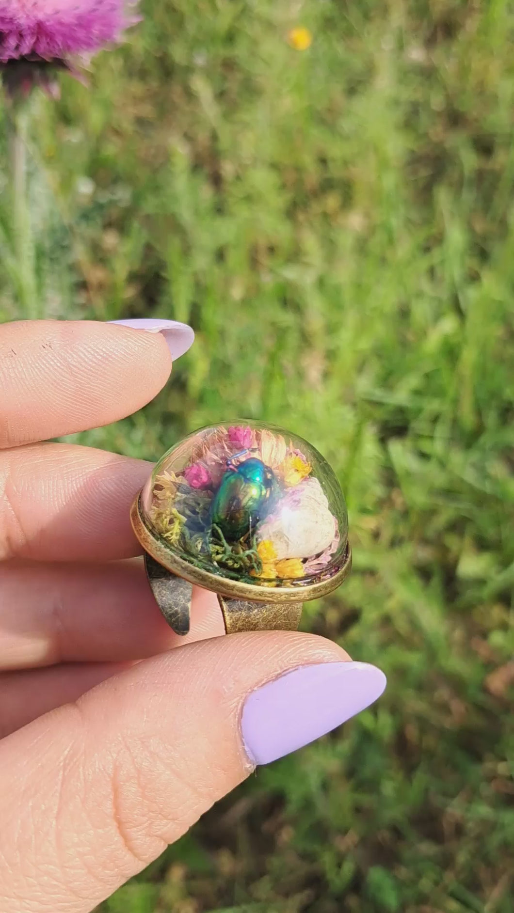 Real dogbane beetle terrarium statement ring