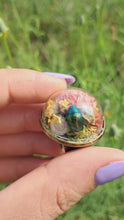 Load and play video in Gallery viewer, Real dogbane beetle terrarium statement ring
