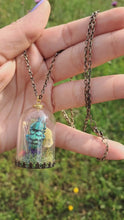 Load and play video in Gallery viewer, Real blue weevil terrarium statement necklace
