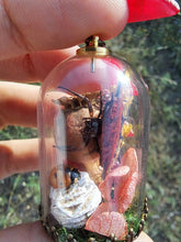 Load image into Gallery viewer, Real orb weaver spider and ladybug terrarium necklace
