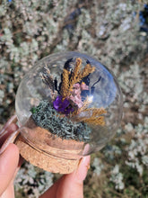 Load image into Gallery viewer, Real stag beetle curio terrarium globe
