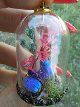 Load image into Gallery viewer, Real blue scarab beetles terrarium necklace
