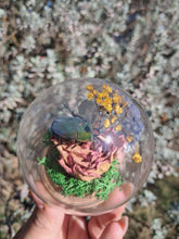 Load image into Gallery viewer, Real flower beetle curio terrarium globe 🪲🌸
