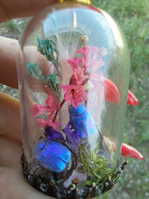 Load image into Gallery viewer, Real blue scarab beetles terrarium necklace
