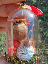 Load image into Gallery viewer, Real orb weaver spider and ladybug terrarium necklace
