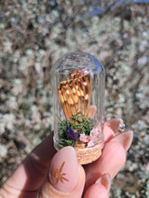 गैलरी व्यूवर में इमेज लोड करें, Miniature fairy wing terrariums 🦋🧚‍♂️✨️🌿
