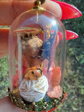 Load image into Gallery viewer, Real orb weaver spider and ladybug terrarium necklace
