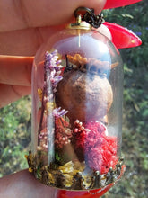 Load image into Gallery viewer, Real orb weaver spider and ladybug terrarium necklace
