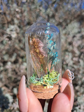 गैलरी व्यूवर में इमेज लोड करें, Miniature fairy wing terrariums 🦋🧚‍♂️✨️🌿
