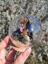 Load image into Gallery viewer, Real stag beetle curio terrarium globe
