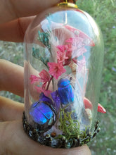 Load image into Gallery viewer, Real blue scarab beetles terrarium necklace
