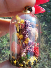 Load image into Gallery viewer, Real orb weaver spider and ladybug terrarium necklace
