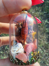 Load image into Gallery viewer, Real orb weaver spider and ladybug terrarium necklace
