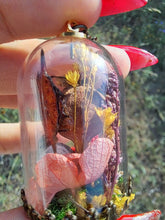 Charger l&#39;image dans la galerie, Real orb weaver spider and ladybug terrarium necklace
