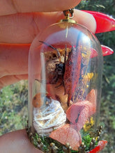 Load image into Gallery viewer, Real orb weaver spider and ladybug terrarium necklace
