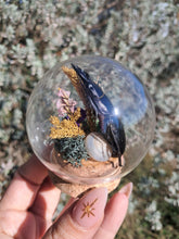 Load image into Gallery viewer, Real stag beetle curio terrarium globe
