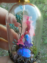 Load image into Gallery viewer, Real blue scarab beetles terrarium necklace
