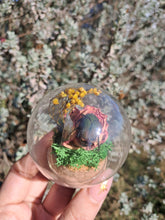 Load image into Gallery viewer, Real flower beetle curio terrarium globe 🪲🌸
