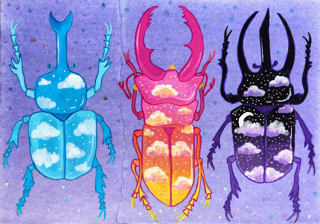 Sunset Beetles