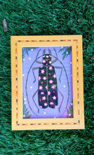 Lade das Bild in den Galerie-Viewer, Tiger Beetle
