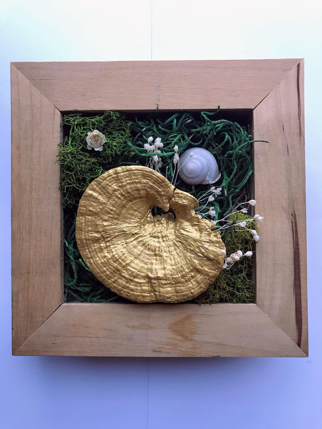 Enchanted Forest Inspired Mushroom Display Shadowbox