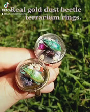 Load and play video in Gallery viewer, Real gold dust weevil beetle terrarium ring insect art entomology earthy handmade unique nature inspired chakra stone peacock ore gem stone
