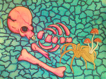 Load image into Gallery viewer, Framed original artwork psychedelic mushrooms spider arachnid surreal symbolic art skull skeleton art decay decompose unusual dark beauty
