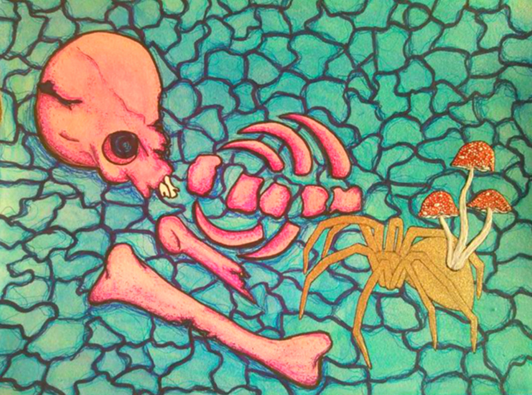 Framed original artwork psychedelic mushrooms spider arachnid surreal symbolic art skull skeleton art decay decompose unusual dark beauty