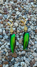 Load image into Gallery viewer, Custom Elytra Real Beetle Wing Dangle Earrings Rulai Buddha Head or Howlite Skull gold silver multi color real insect jewelry oddity curio
