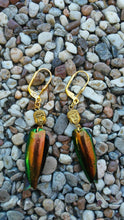 Load image into Gallery viewer, Custom Elytra Real Beetle Wing Dangle Earrings Rulai Buddha Head or Howlite Skull gold silver multi color real insect jewelry oddity curio
