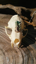 Load image into Gallery viewer, Real mink skull necklace rainbow bismuth crystal gothic witchy wiccan unusual curio bone goth boho unique handmade gift jewelry earthy
