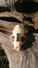 Load image into Gallery viewer, Real mink skull necklace rainbow bismuth crystal gothic witchy wiccan unusual curio bone goth boho unique handmade gift jewelry earthy

