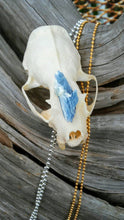 Load image into Gallery viewer, custom crystal mink skull necklace gem stone ruby garnet amethyst blue kyanite clear quartz pyrite macabre curio gift goth
