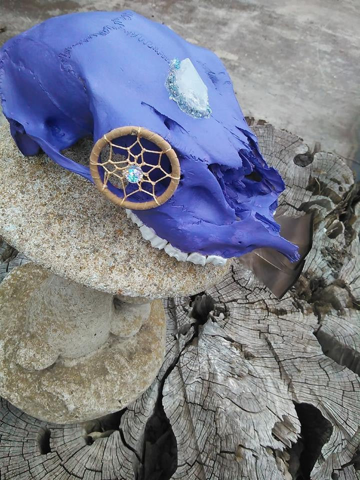 Departed Dreamer Real Skull Bone Art Dream Catcher Iridescent Feathers Blue Angel Aura Quartz Crystal Purple Skull Fragment Dark Art