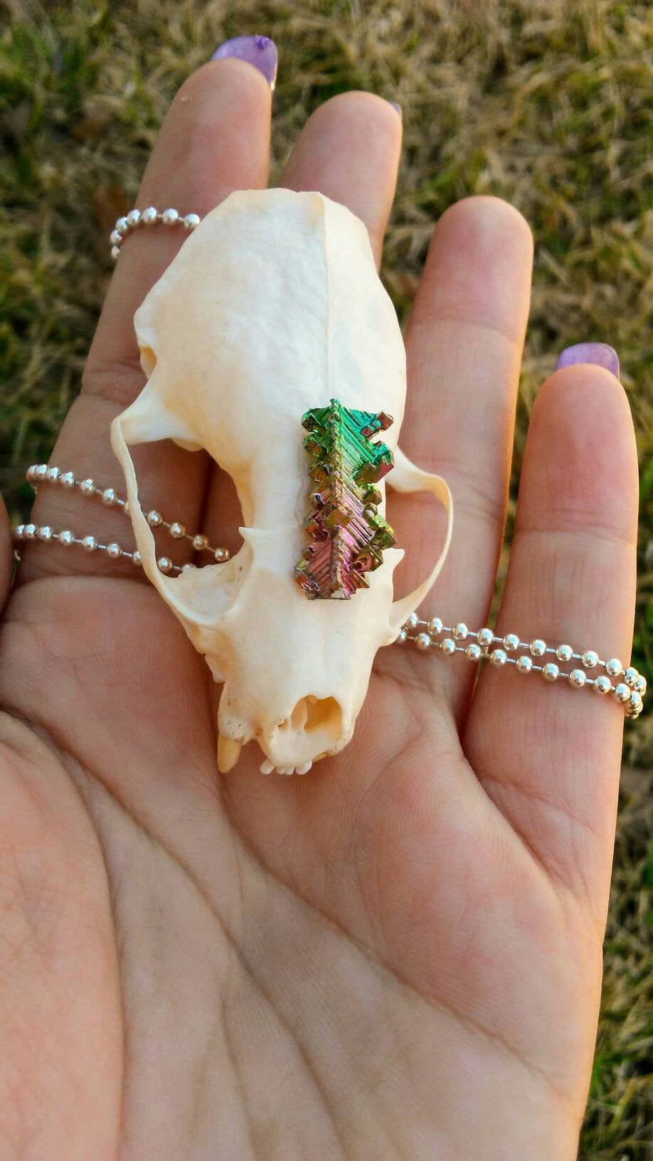 Real mink skull necklace rainbow bismuth crystal gothic witchy wiccan unusual curio bone goth boho unique handmade gift jewelry earthy